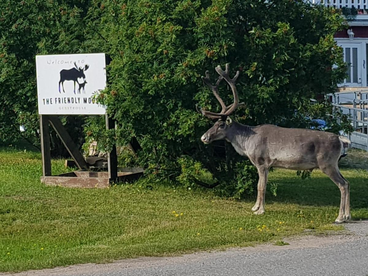 Отель The Friendly Moose Эверторнео Экстерьер фото