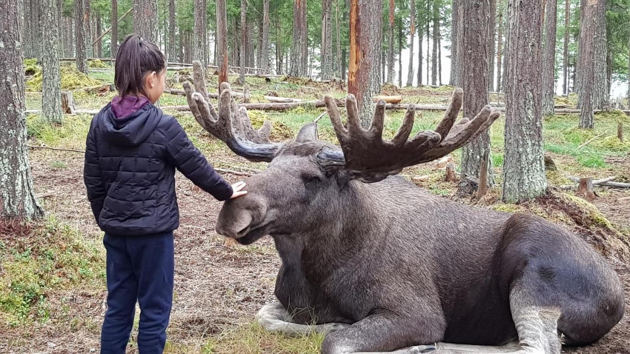 Отель The Friendly Moose Эверторнео Экстерьер фото